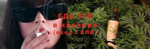 стафф Гусев