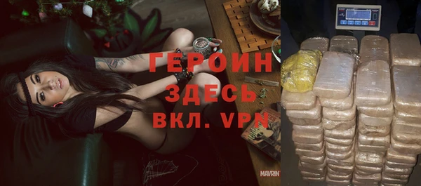 стафф Гусев