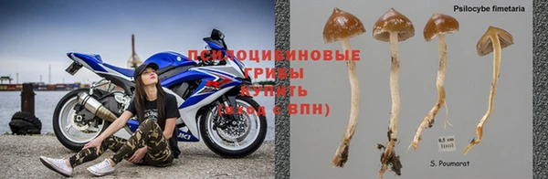 ALPHA-PVP Гусиноозёрск