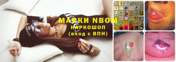 стафф Гусев
