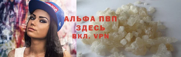 стафф Гусев