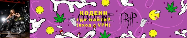 стафф Гусев
