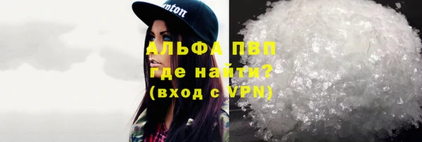 стафф Гусев