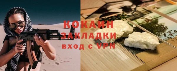 стафф Гусев